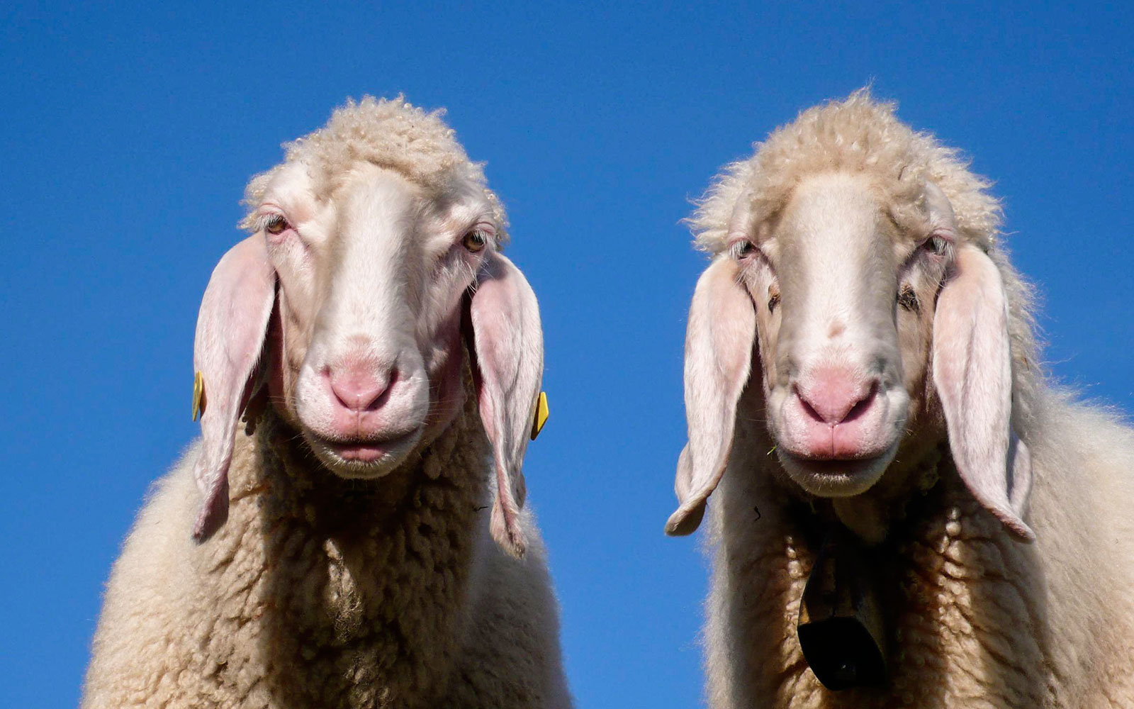 Hintergrundfoto - background visual